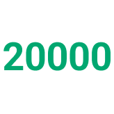 20 000